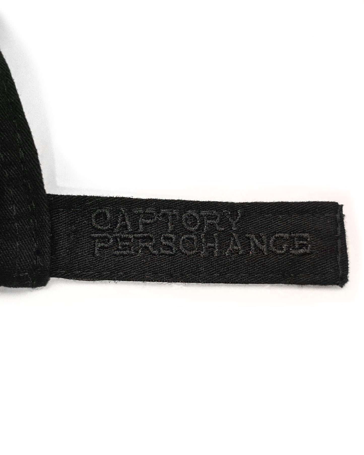 Captory